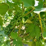 Cascina Monte Tivino Salò
