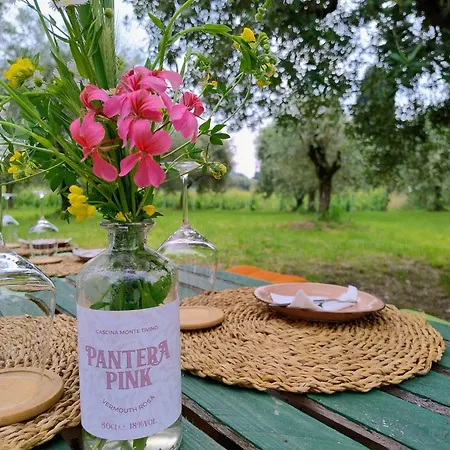 Cascina Monte Tivino 农家乐 *