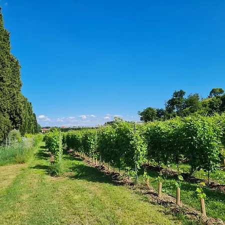 Cascina Monte Tivino 农家乐